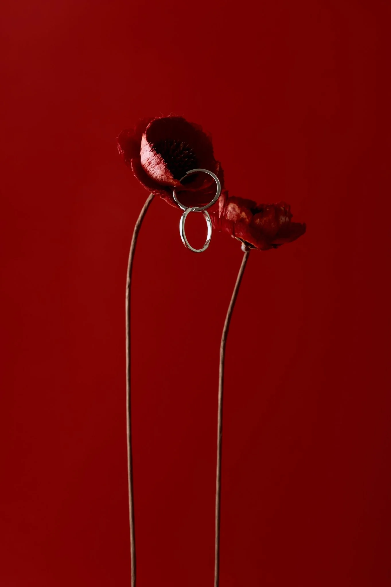 15mm Mother Hoops - Image 3