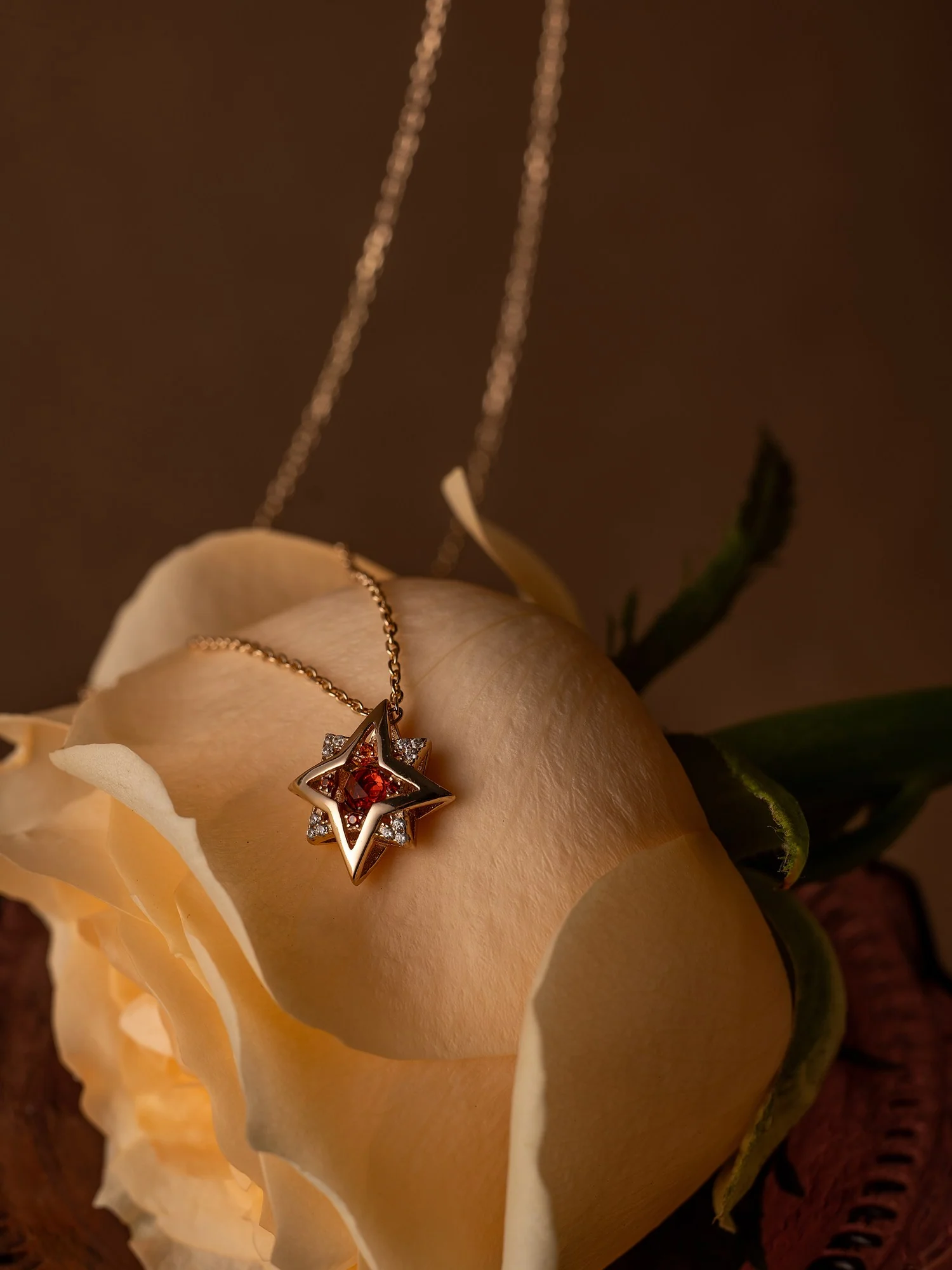 New York Garnet Pentagram Necklace - Image 5